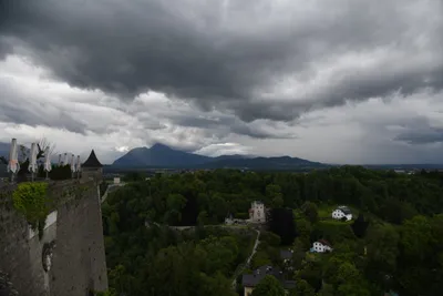 DSC_6365 (Large).JPG